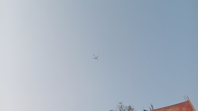 20250608_173149.jpg