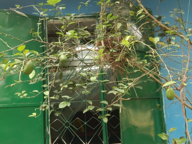 IMG20250425150216.jpg