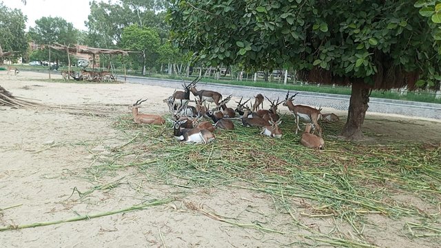 IMG-20250808-WA0186.jpg
