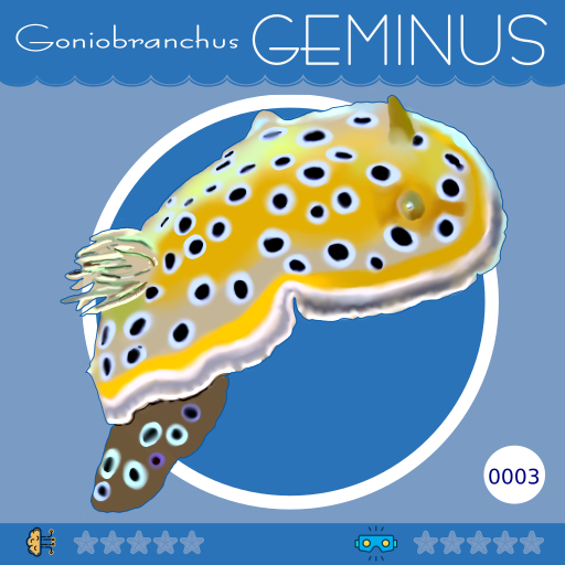 0003-GoniobranchusGeminus.png
