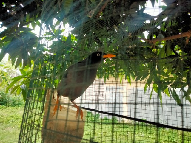 IMG20250626144903.jpg