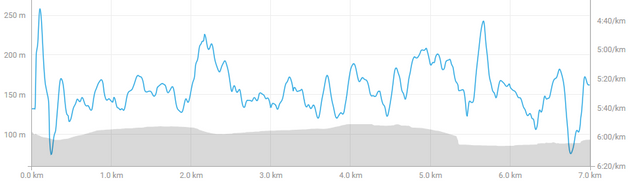 screenshot-www.strava.com-2018-06-04-20-27-39.png