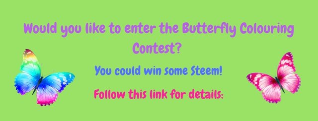 Butterfly Colouring Contest header.jpg