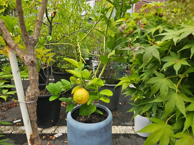 KakaoTalk_20250908_230855018_03.jpg