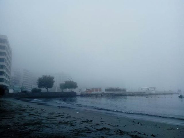 Ancón neblina.jpg