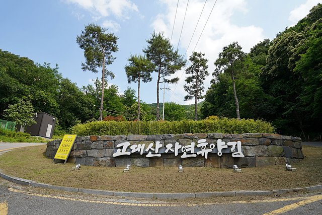 b-DSC07752.JPG