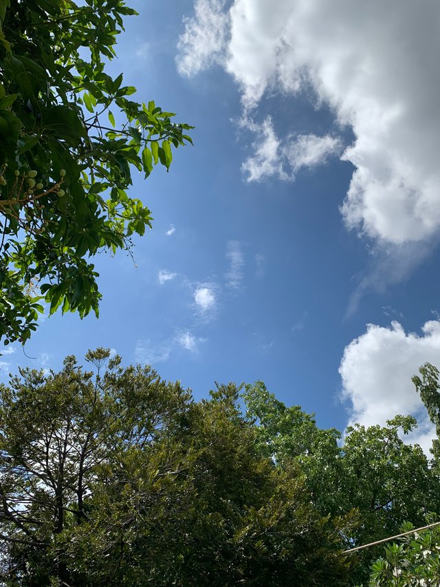 clouds3.jpg