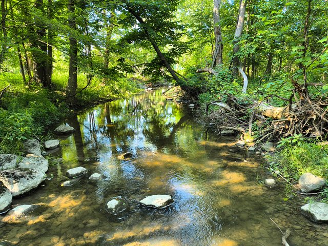 IMG_20250702_175437676_HDR.jpg