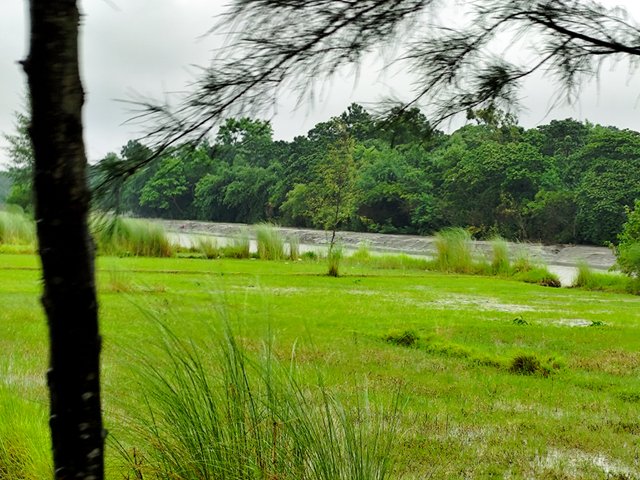 IMG_20250709_100254.jpg
