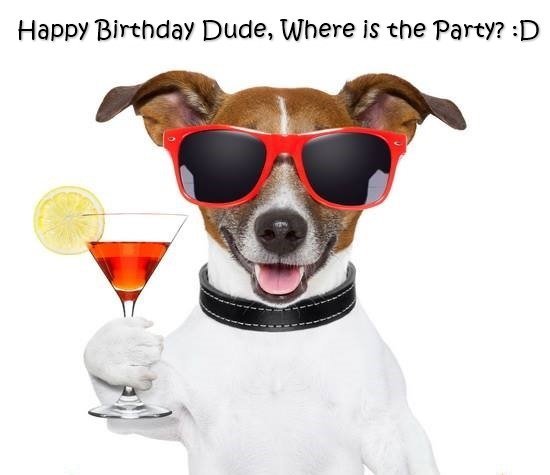 happy birthday funny dog.jpg