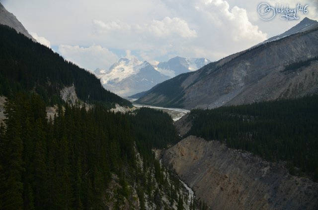 sunwapta valley3.jpg