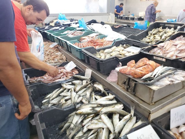poissons 11.jfif
