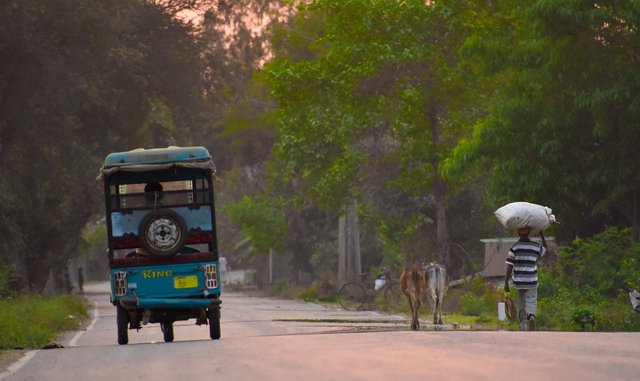 rickshaw-6216564_1280.jpg