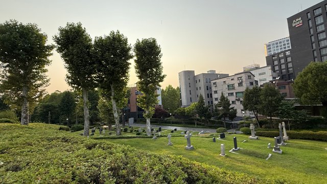 IMG_1209.jpeg