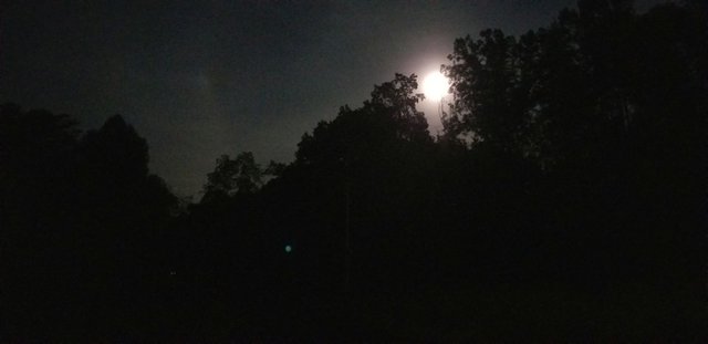 20181022_185428 - Nearly full moon over woods, with orb and glowing eyes.jpg