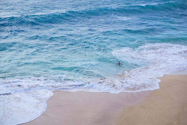 beach-4923130_1280.jpg