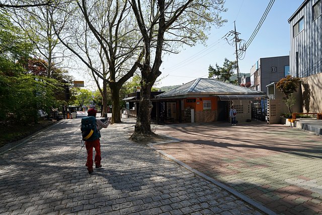 DSC08858.JPG