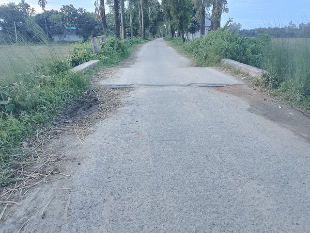1000043283.jpg