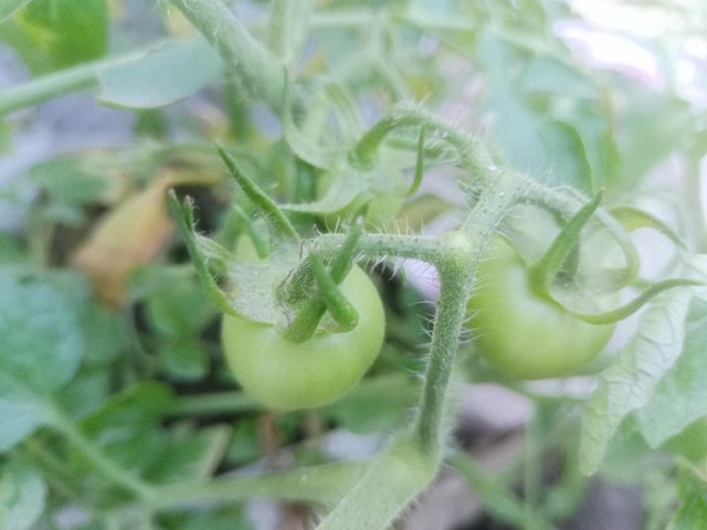 IMG20250302174821.jpg