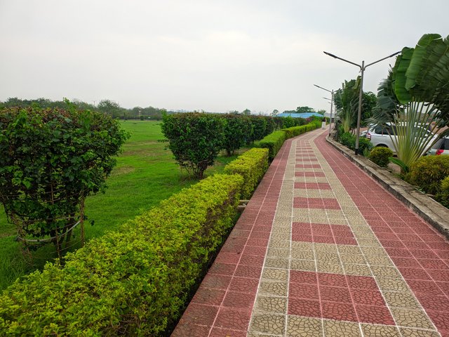 1000031784.jpg