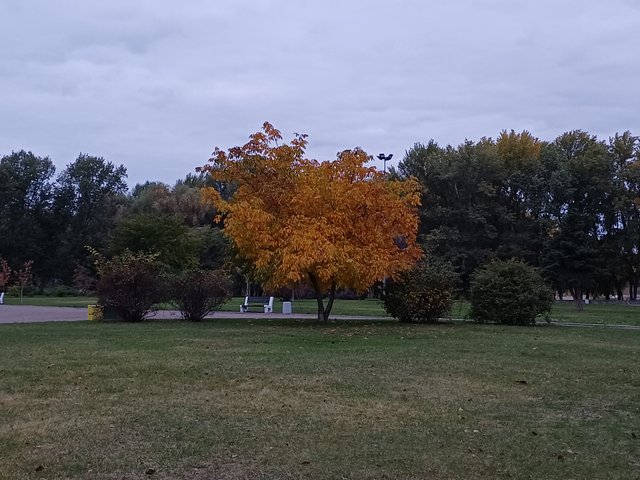20251015_071553.jpg