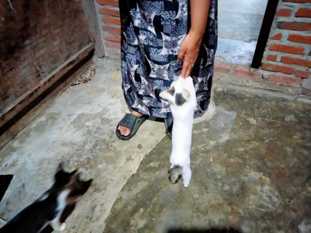 IMG20250515194403.jpg