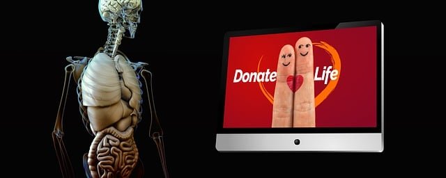 organ-donation-4301529_640.jpg