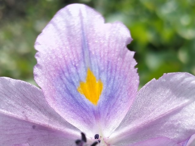 IMG_20251008_235322.