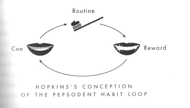 Pepsodent Hopkins Habit Loop.png