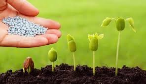Global Biopesticides Market.jpg