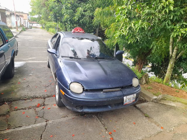 20250809_083347.jpg