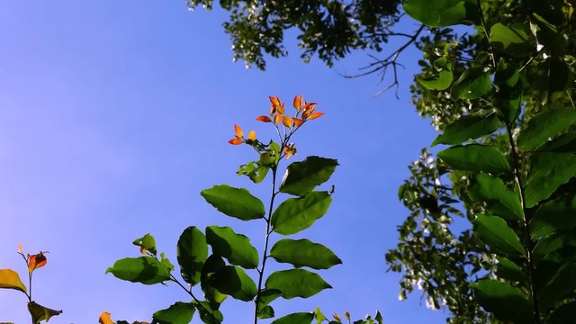 IMG_202709.jpg