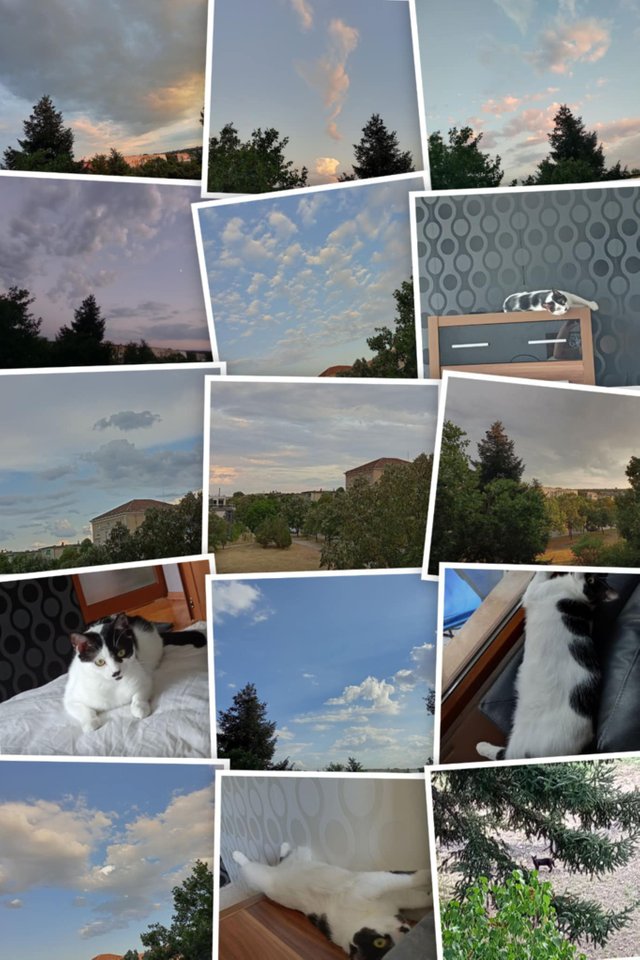 Messenger_creation_A952681F-7360-47C7-97FF-5B4FEFD758EC.jpeg