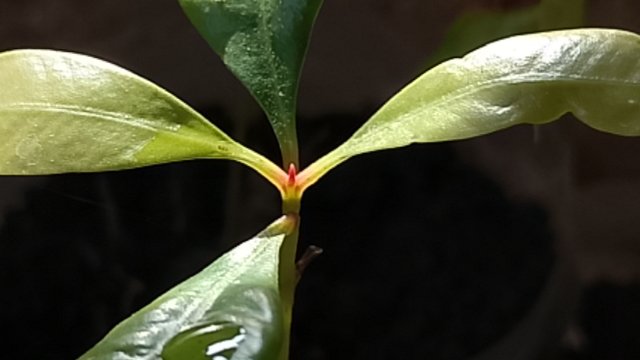 IMG_20250805_160308.jpg