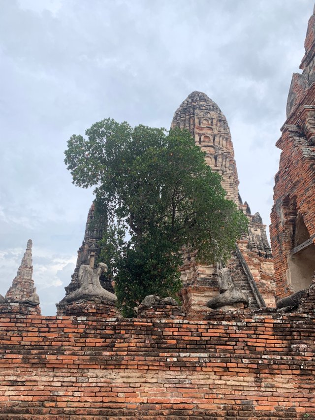 Wat Chaiwatthanaram7.jpg