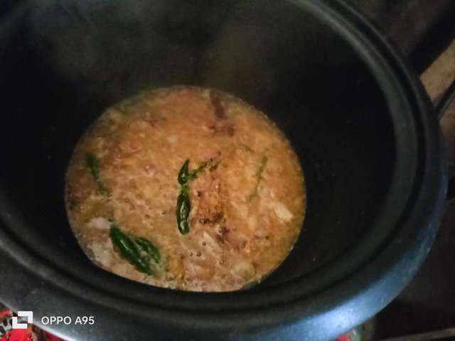 IMG20250309103134.jpg