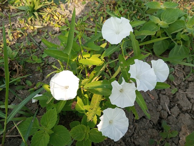 IMG_20231102_084815_922.jpg