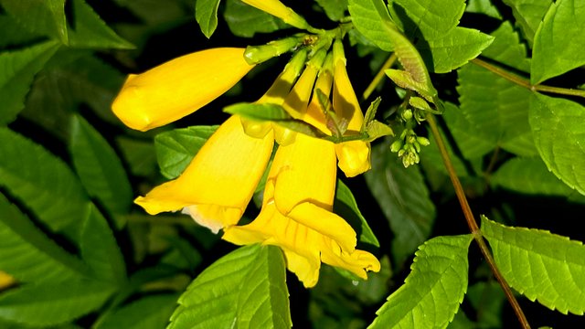 20250125_023038.jpg