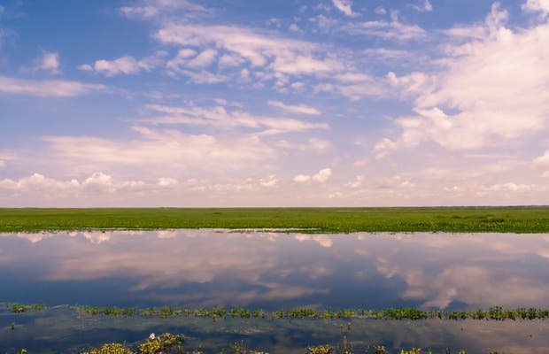 llanos-del-orinoco-.jpg