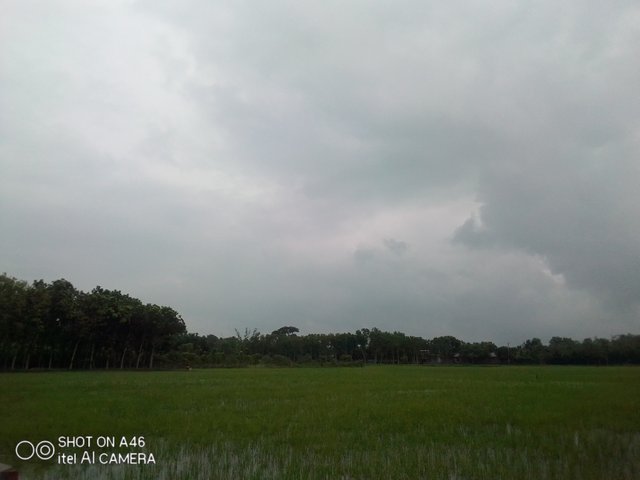 IMG_20210616_140910.jpg