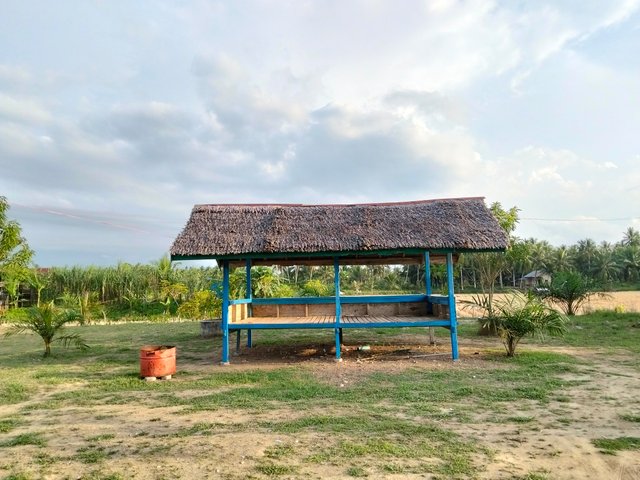 4621.jpg