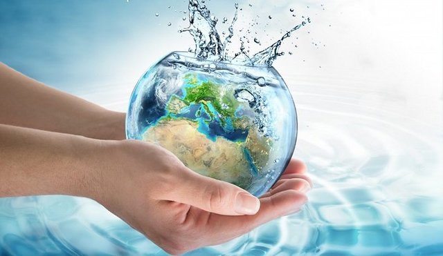 importancia-agua-medio-ambiente.jpg