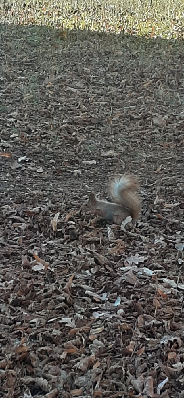 20211116_120454.jpg