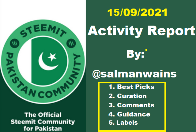 Daily Report in Steemit Pakistan by @salmanwains.png