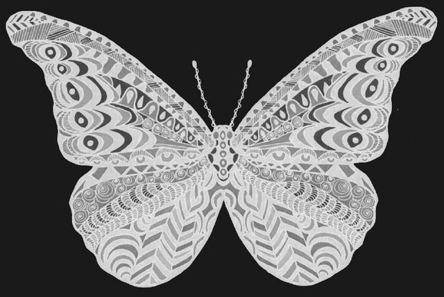 Butterfly 6 neg grey.jpg