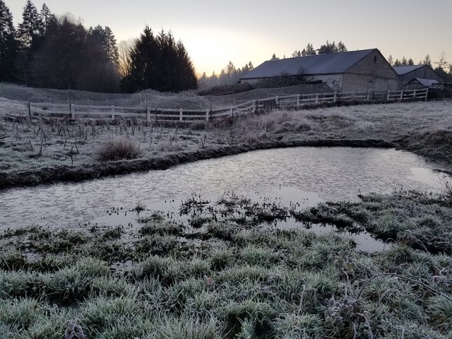 frozen-pond-sunrise.jpg