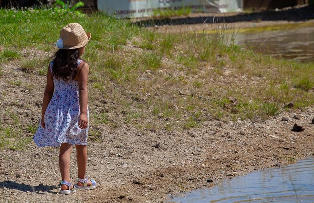 child-on-pond-shore-4317308_1280.jpg