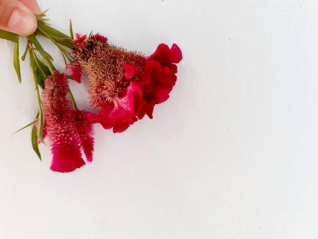 20250724_110444.jpg