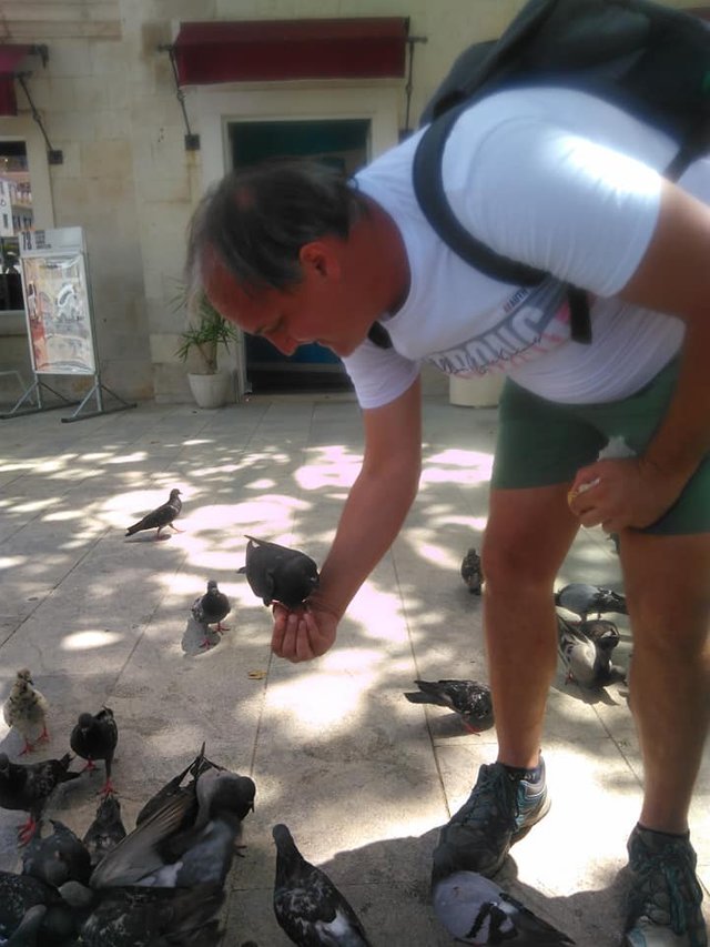 GastroCrutch-with-pigeons-Dubrovnik.jpg