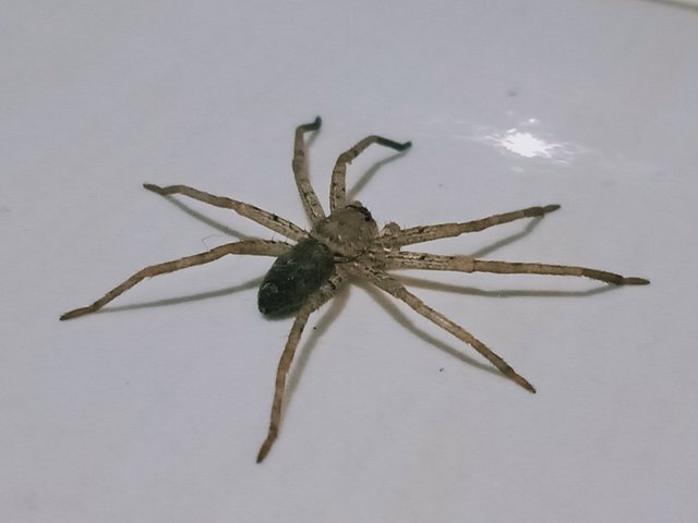 IMG20250329041035.jpg
